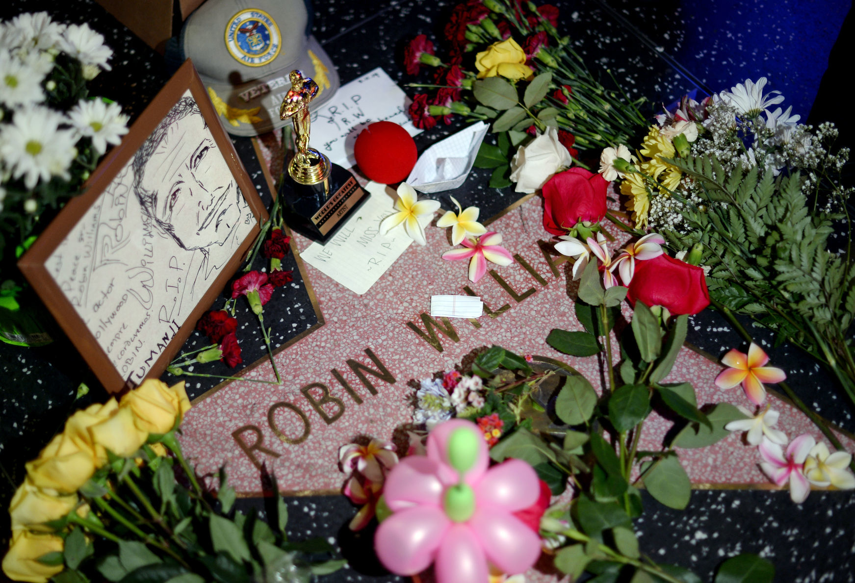 Robin Williams, 2014